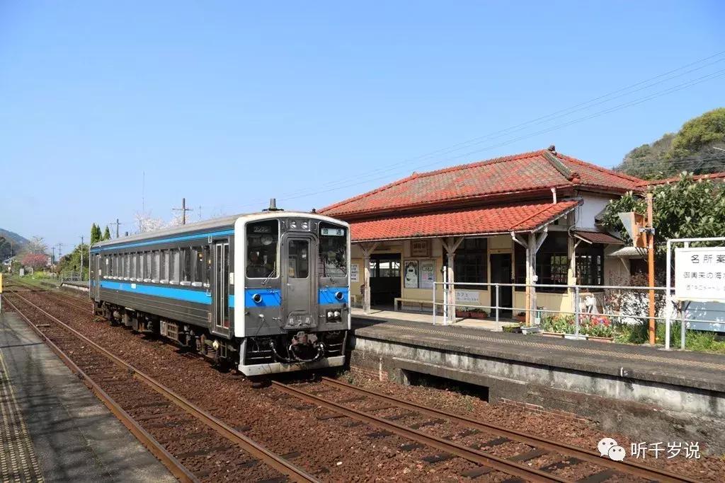 日本东京熊本熊,日本熊本游
