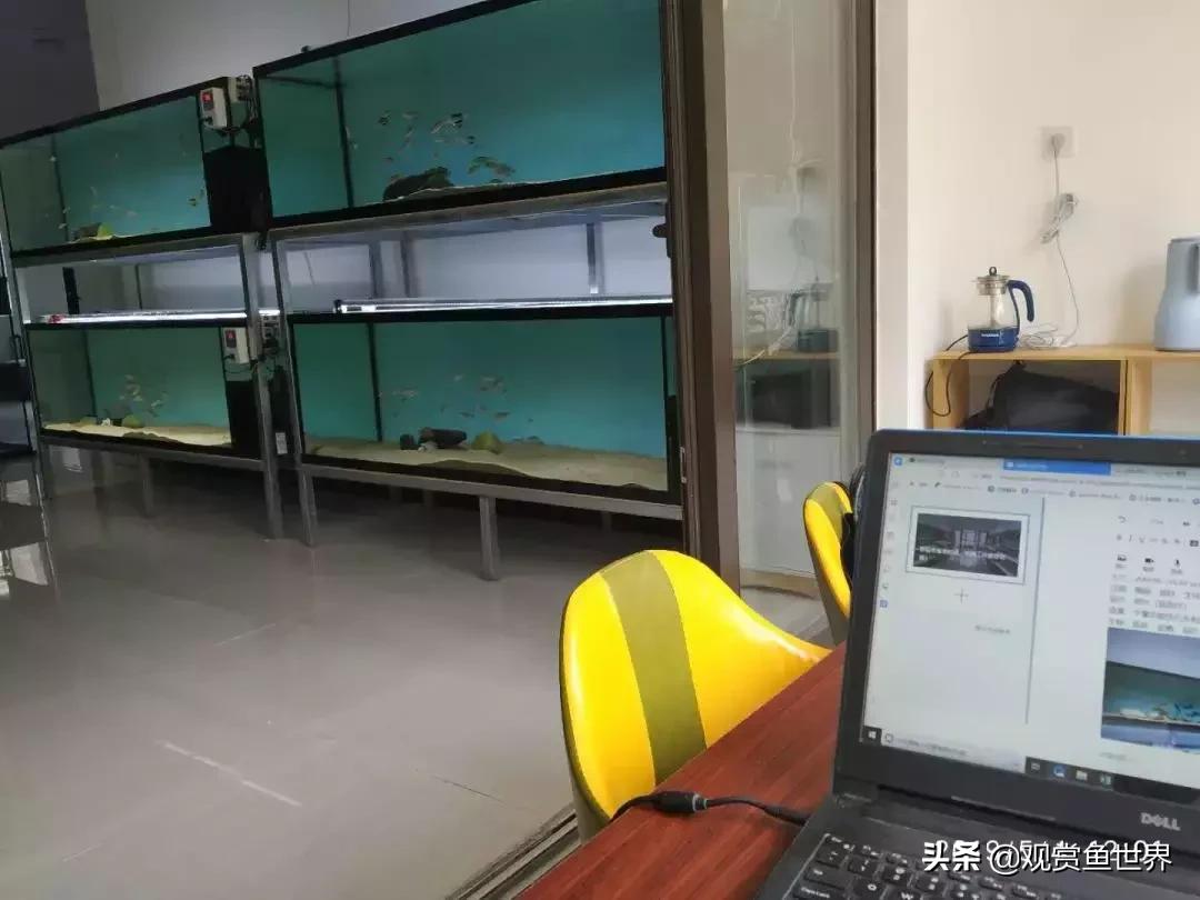 梦想的三湖世界持续建设中……方位:中国天津