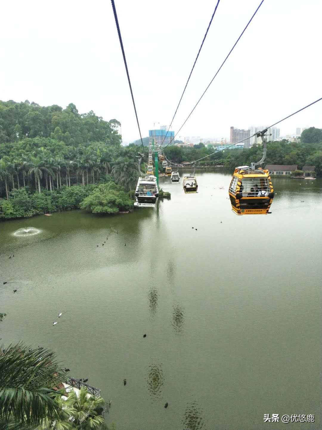 广州长隆野生动物园自驾大马戏,广州长隆野生动物园攻略马戏表演