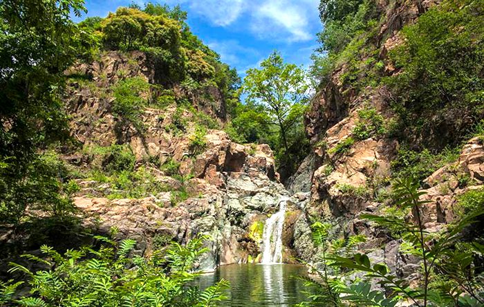 陕州区神泉中路金泉大酒店,陕州区神龙峡景区