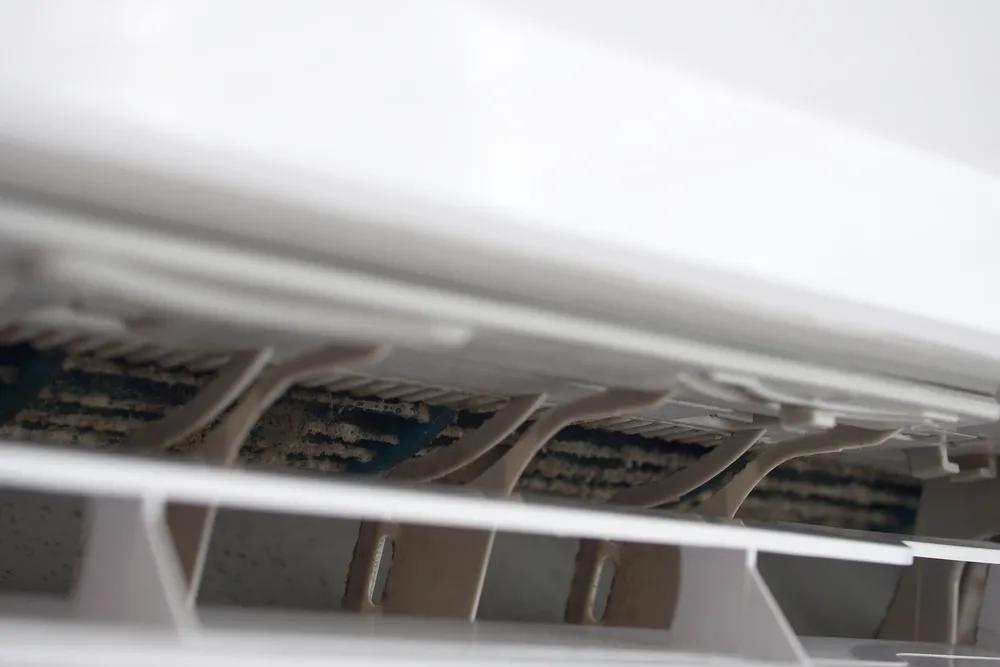 高温烘干能消灭霉菌吗,紫外线能处理家里的霉菌