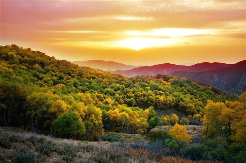 乌兰察布大都市,乌兰察布北京后花园网红打卡
