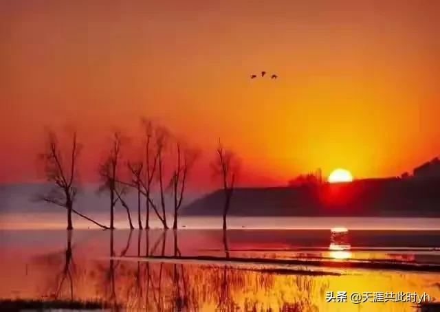 毁了丈夫，殃及亲戚，都是滥情惹的祸