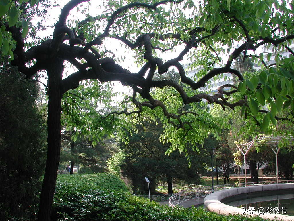 北京看各种病所对应的医院,北京八大处医院看什么病好