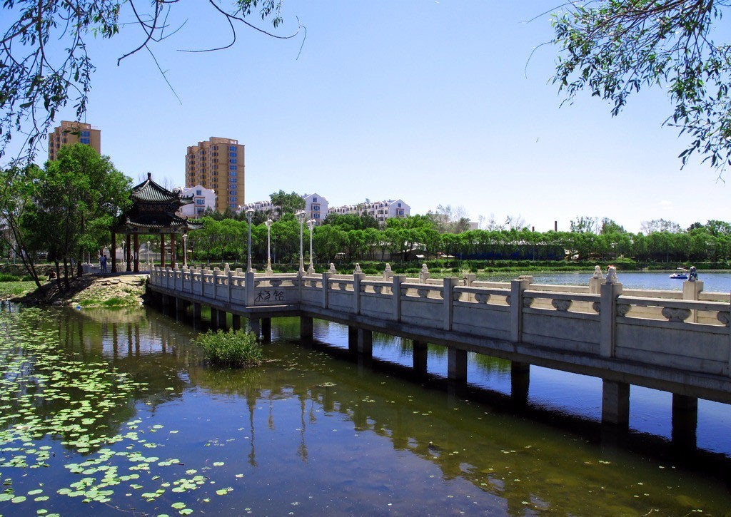 有人问你：哈尔滨哪个区（市）县最大哪个最小？都有啥？你知道不