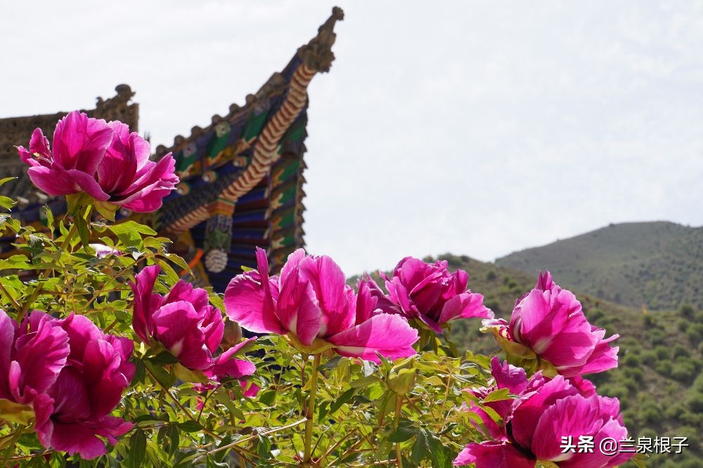 兰州金花娘娘在哪升天,金花娘娘成仙的地方