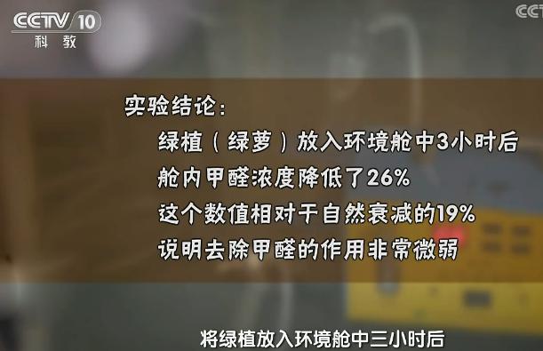 央视公认除甲醛最好方法,央视最权威的除甲醛方法