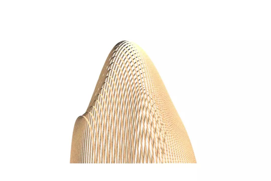 在家别忘了学习|免费领取ASRIRhino超详细基础视频教程