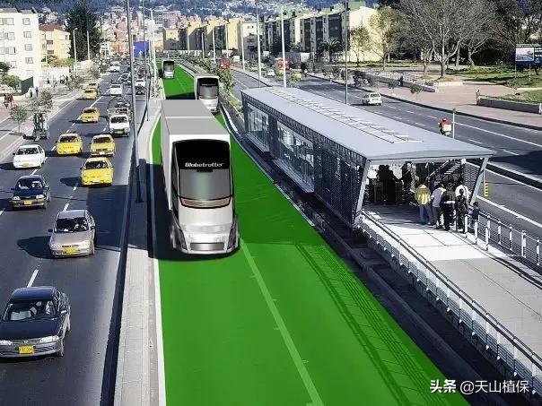 上榜啦！*疆新**鸟市和石市即将被国家命名！未来发展不可估量