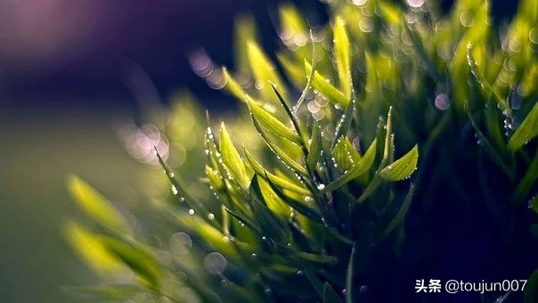 php开发app实战教程,php原生开发