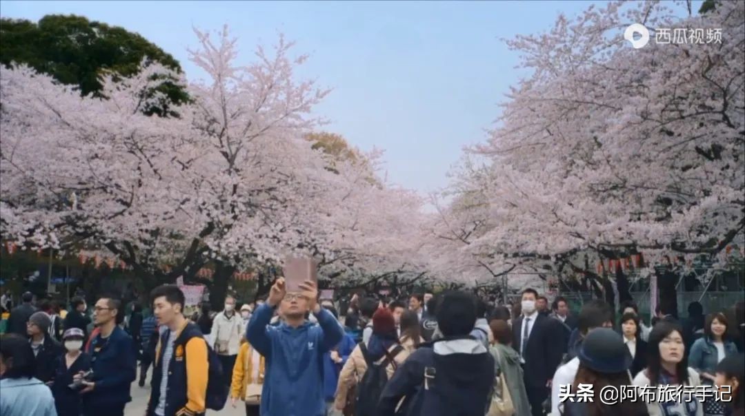 豆瓣9.1分看哭百万人,豆瓣评分9.0却很少有人看懂