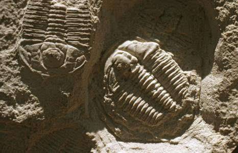 那些全球无法解释的神秘事件,盘点全球十大未解真实事件