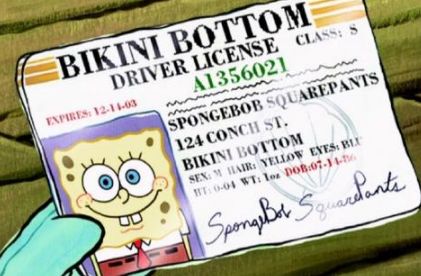 上帝保佑没看过海绵宝宝的人们