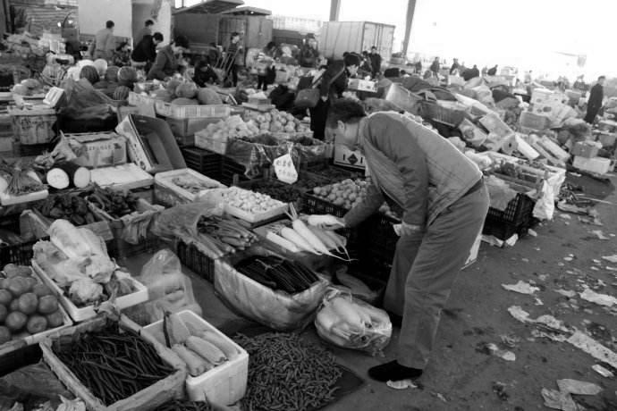 豫菜十大菜系,豫菜百家之长