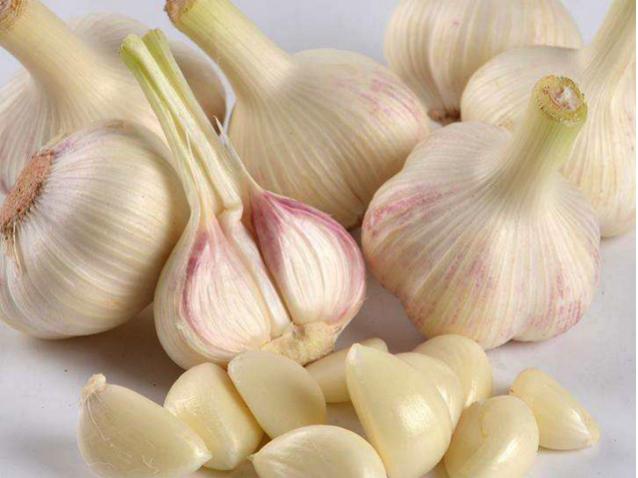 临沂兰陵有什么特色美食,山东临沂兰陵美食