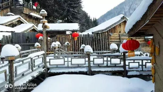 11月份的雪乡有雪吗,雪乡和新雪乡有什么区别