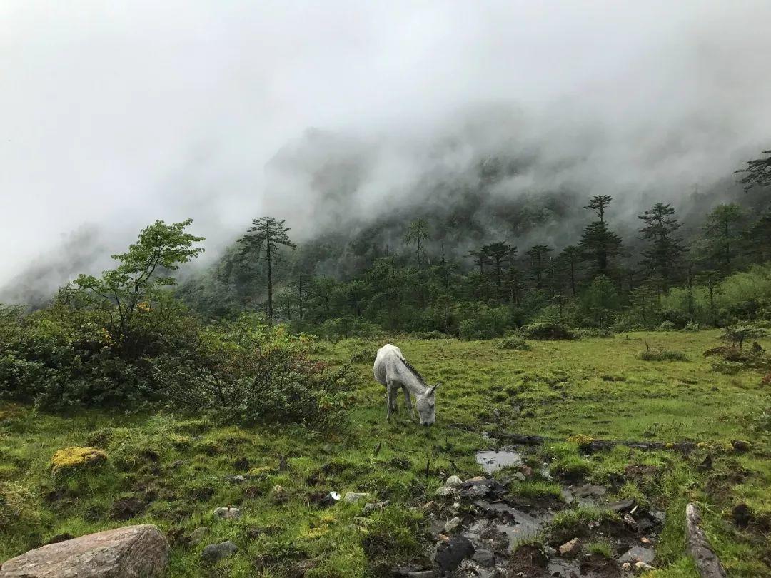 中国徒步墨脱第一人,墨脱中国徒步之首