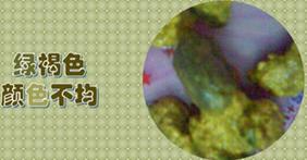 婴儿消化不好腹泻吃什么辅食好,宝宝消化不良腹泻可以吃哪些辅食