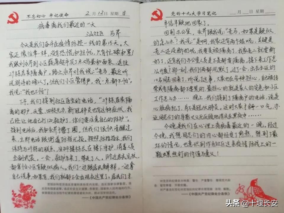 我是一颗小小的石头,深深地埋在网格之中