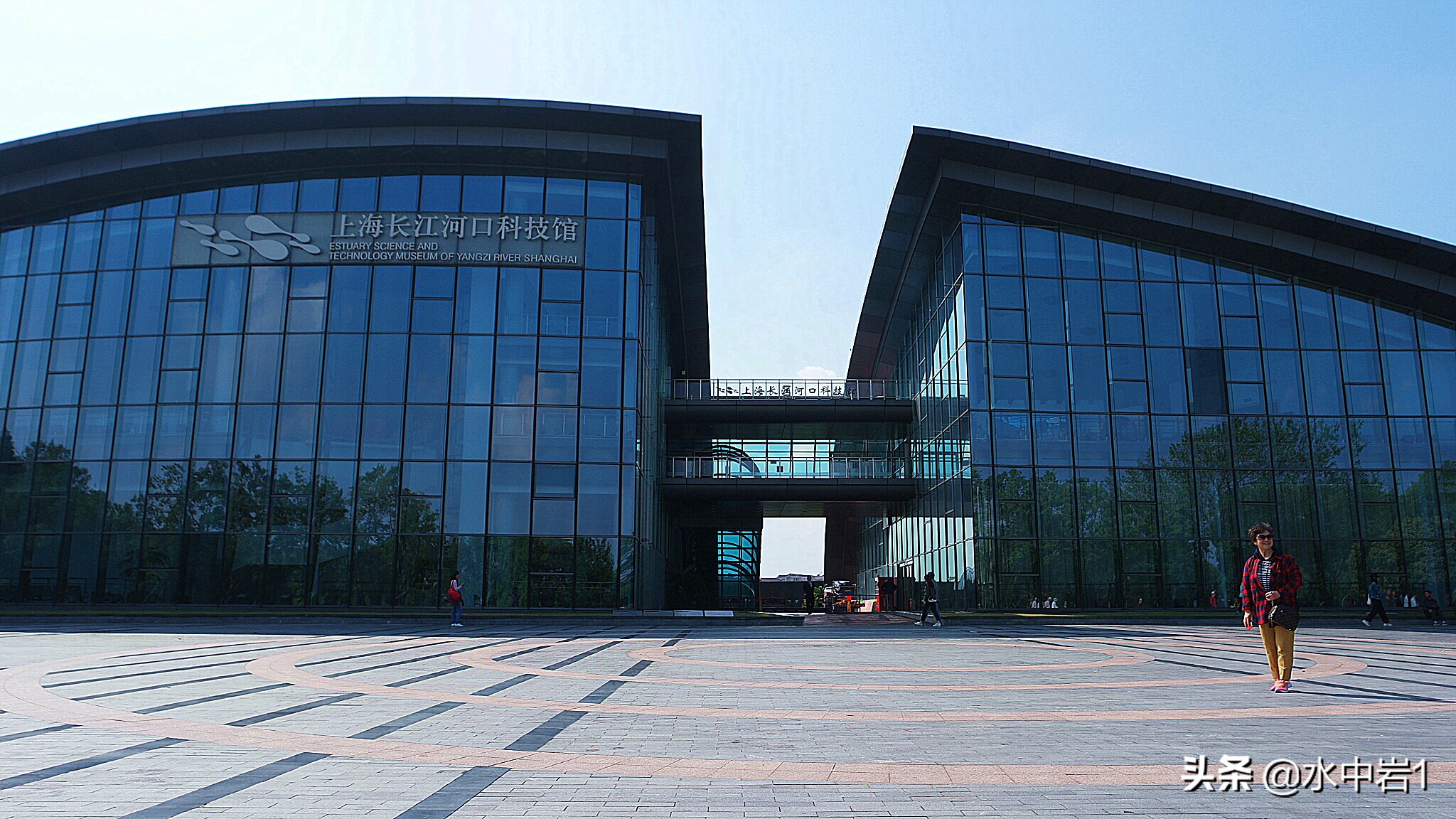 长江流域湿地生态环境保护,长江流域环境保护成果