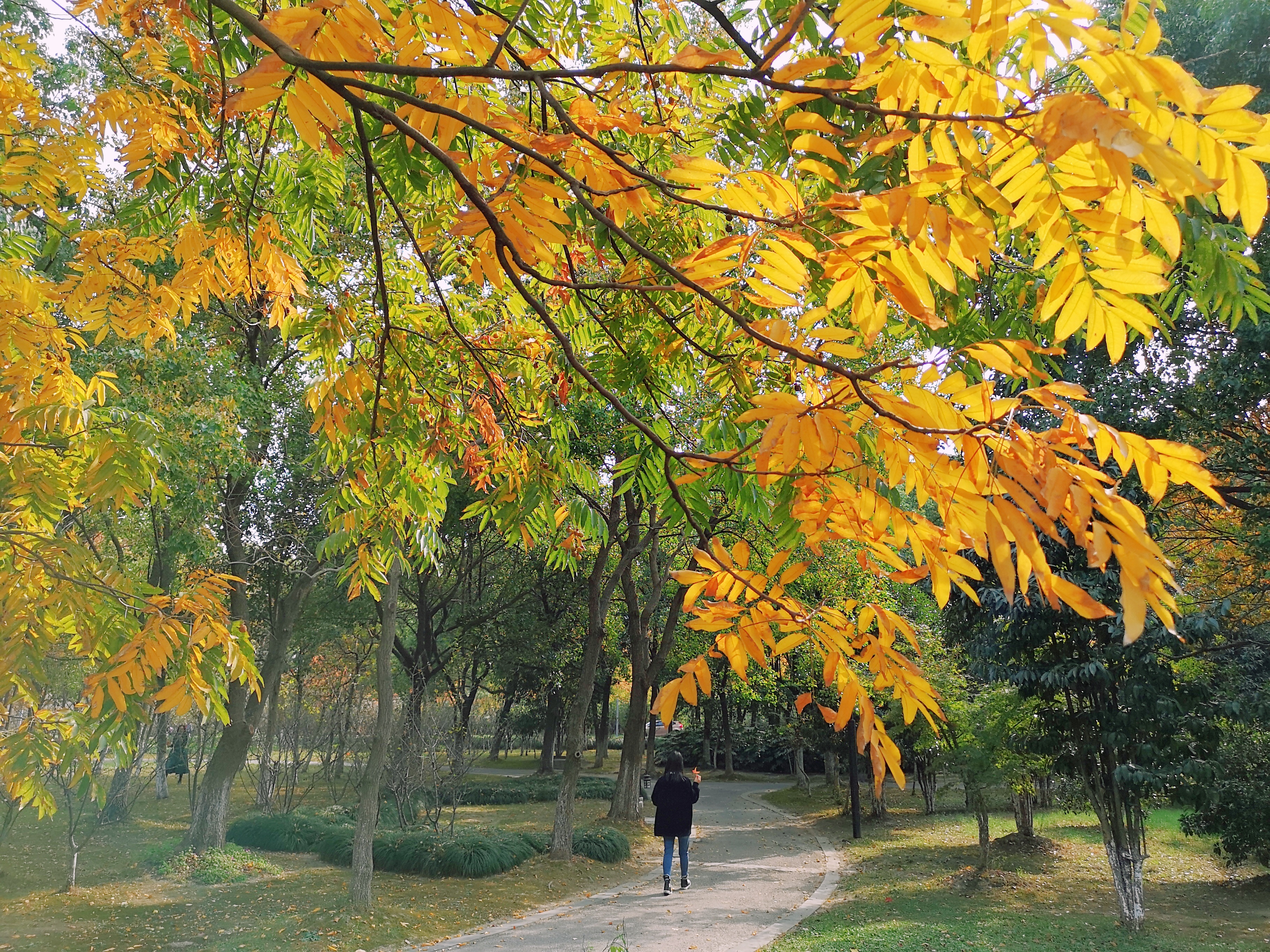 过敏原检测有没有用,过敏原检测麻烦吗