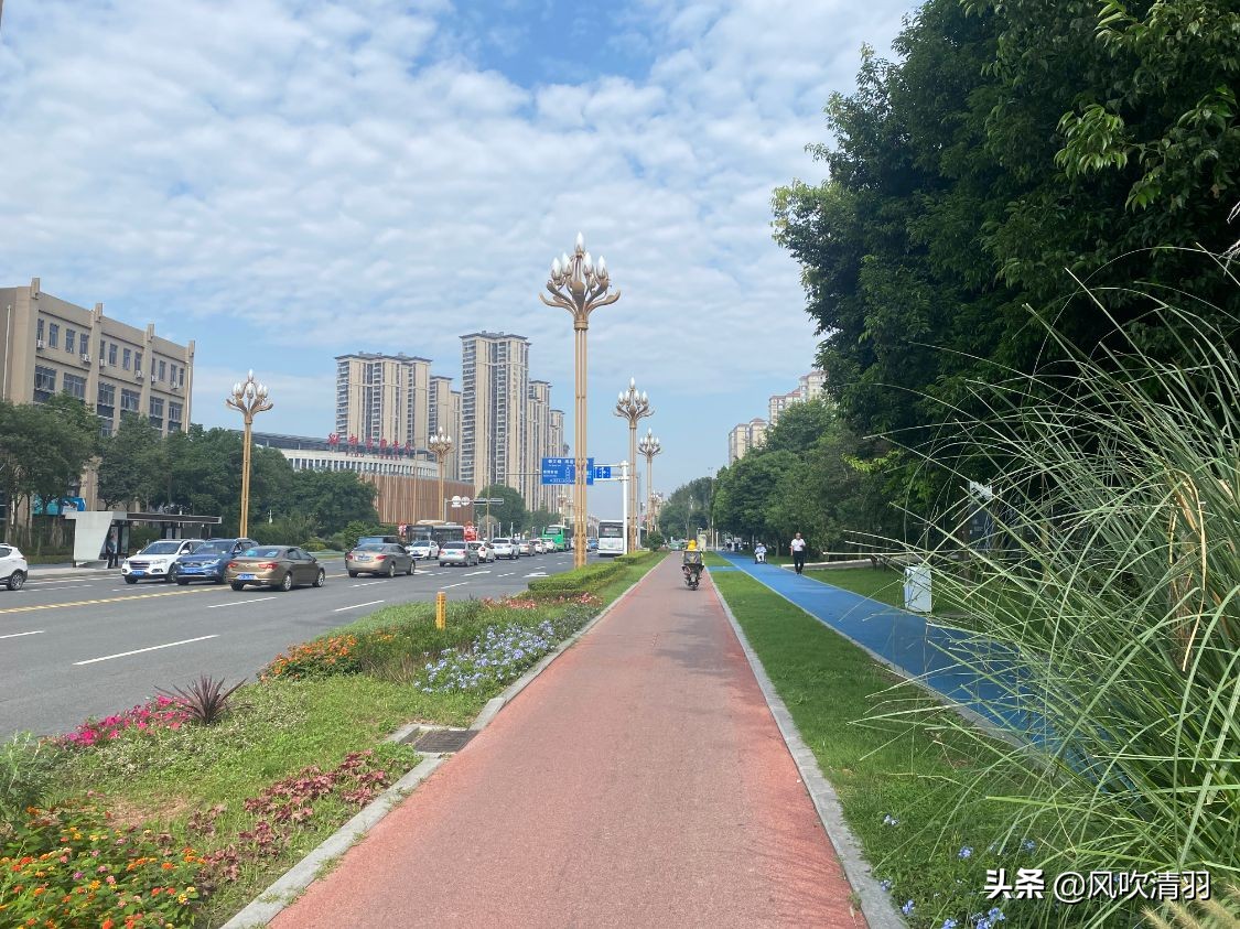 郫都区大型医院,郫都区最繁华商圈