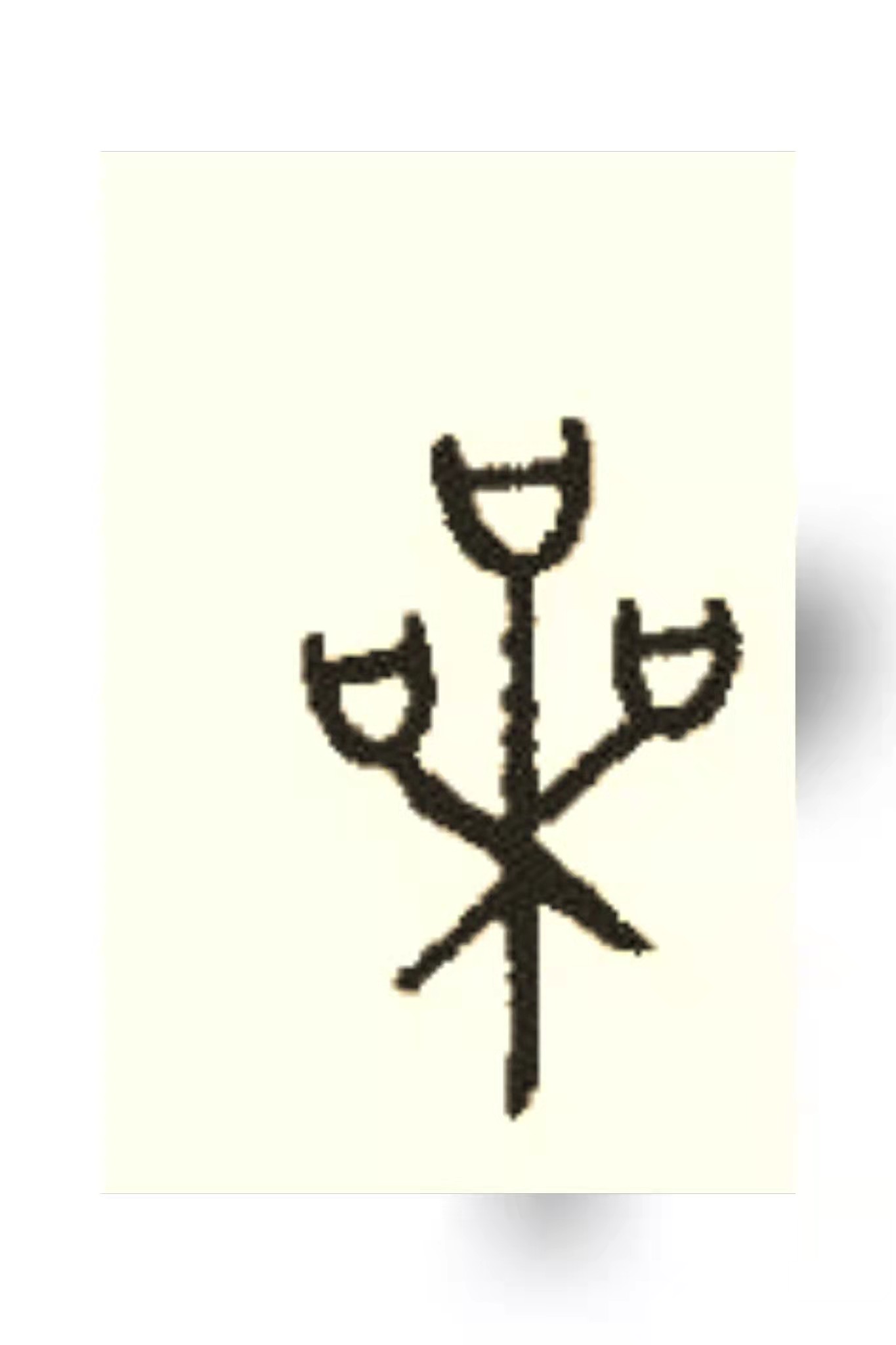 喿字的由来,喿读什么字