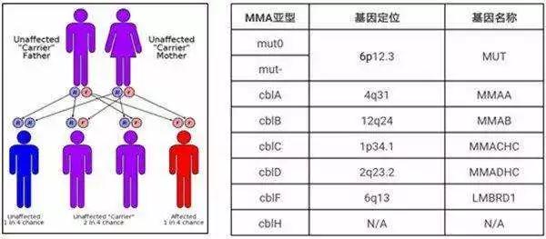 基因治疗——遗传代谢病治疗的新希望