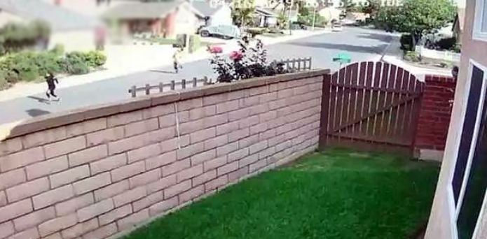 孩子你是我的软肋我是你的盔甲,你是我的软肋你是我的铠甲完整版