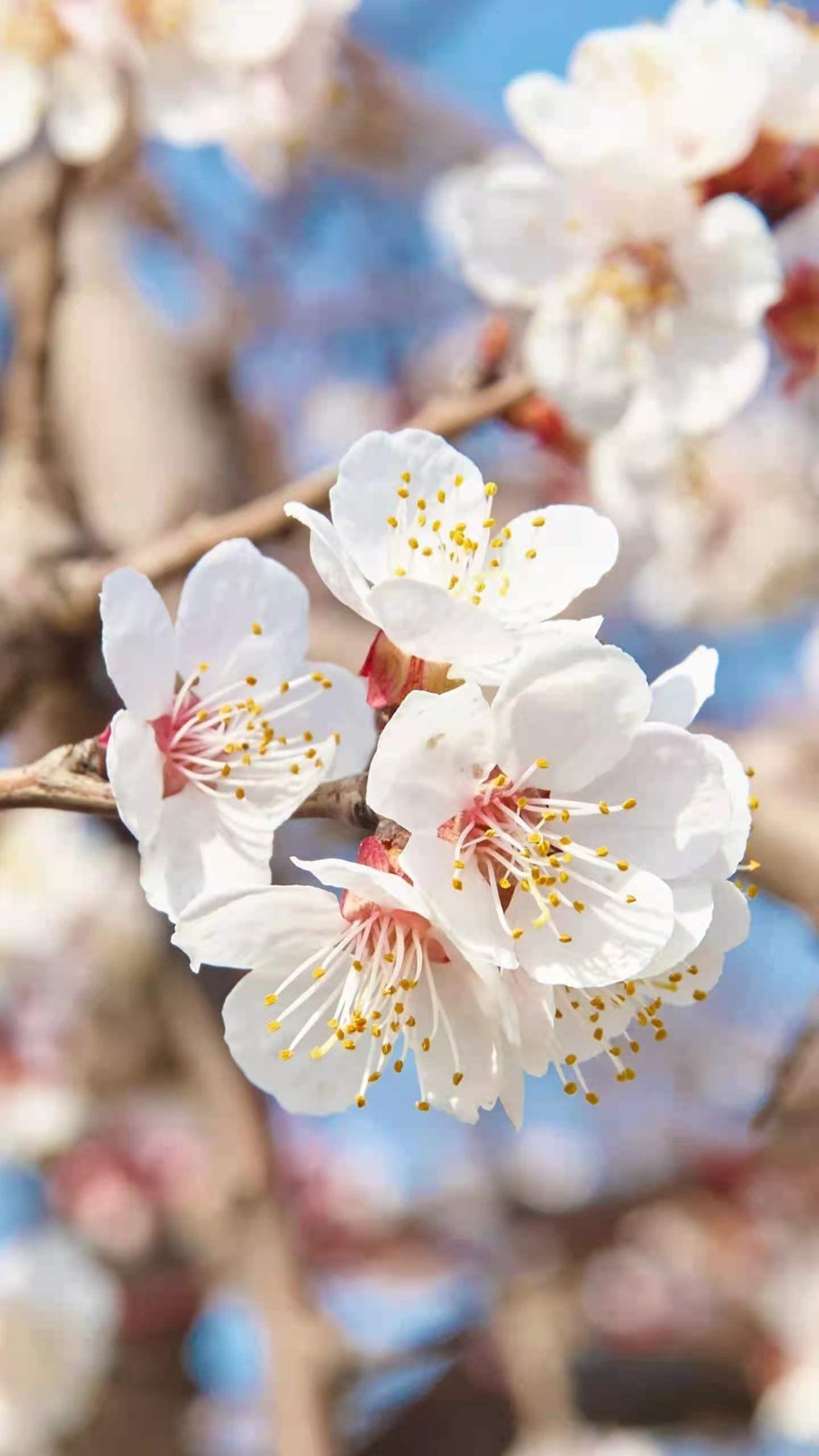 怯场后语无伦次,演讲的技巧和方法不怯场