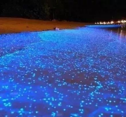 惠州双月湾君廷一线海景酒店推荐,惠州双月湾君廷度假酒店单人房