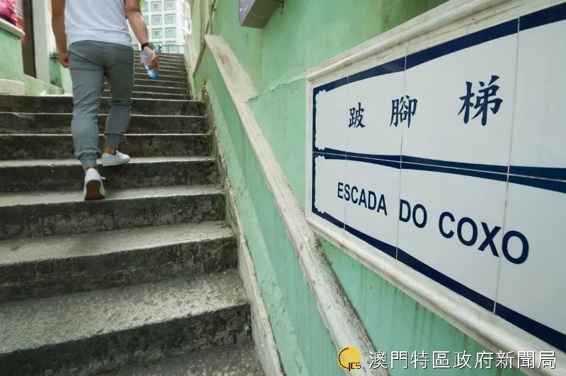 来澳门必游的景点,来澳门必逛的网红打卡景区