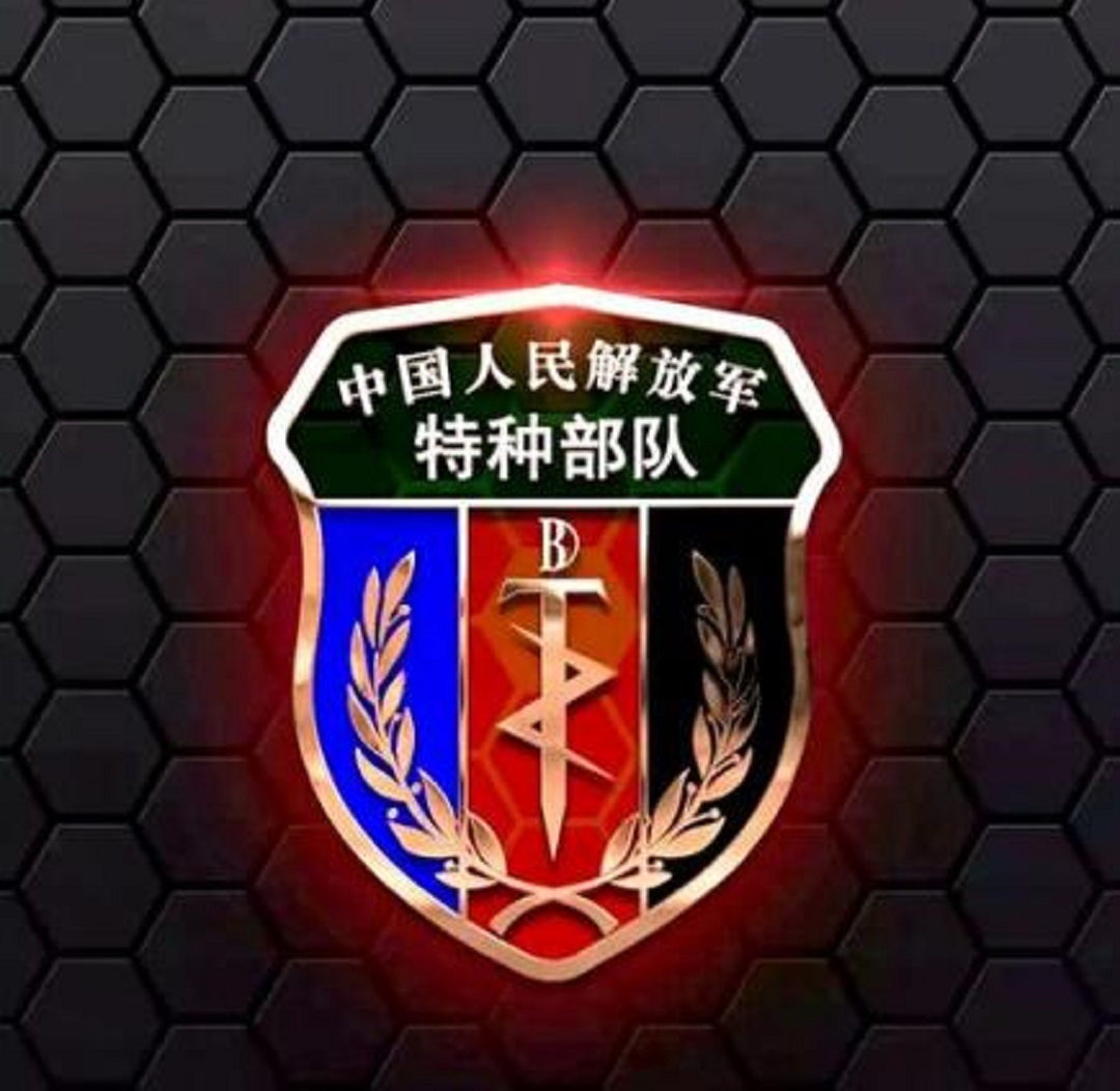 中国人民解放军军衔标志符号,中国军队特种部队代号