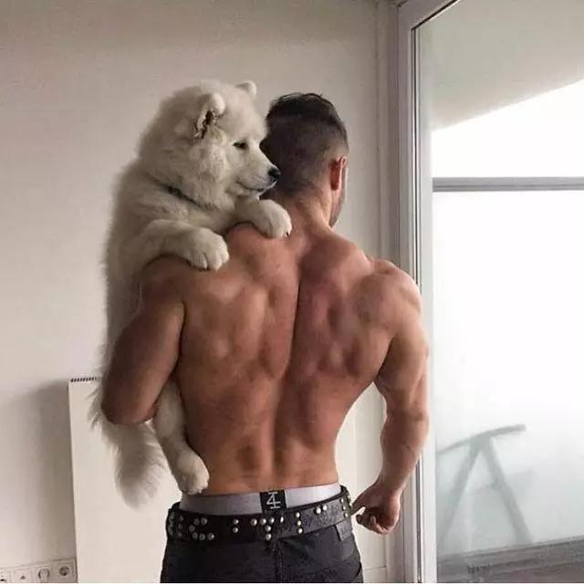 男士身材倒三角怎么练的,想练成倒三角身材应该锻炼哪