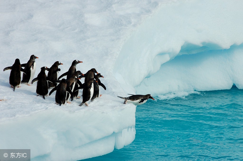 南极旅行究竟是什么感受,去南极旅行值不值得