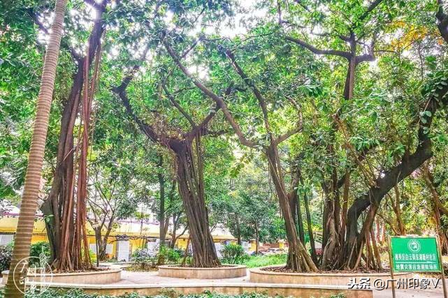 遇到老实人就嫁了吧,遇到贵州人你就嫁了吧