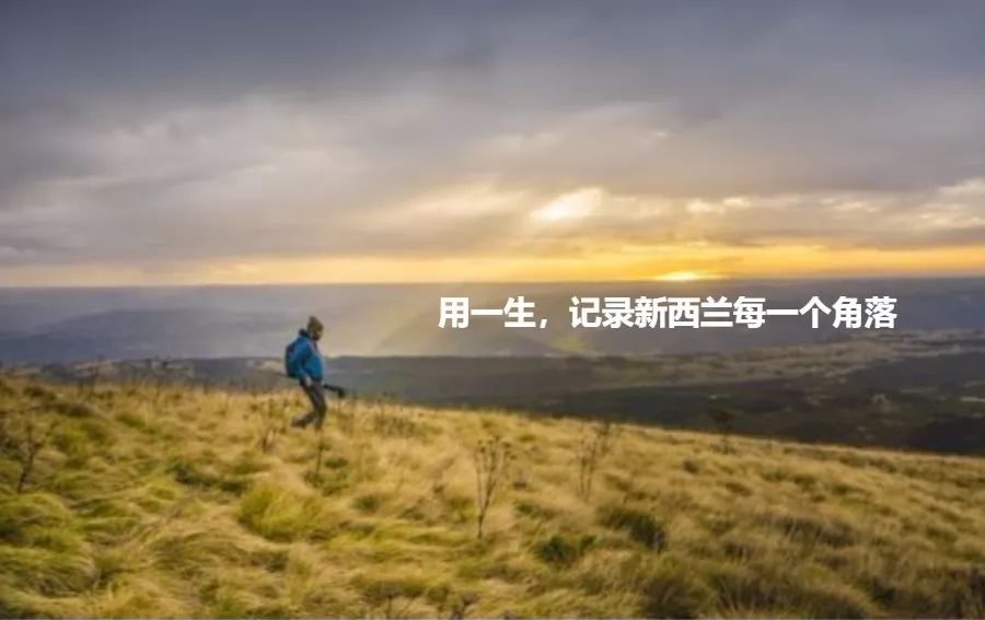 离开新西兰两个月可以入境了吗,离开新西兰