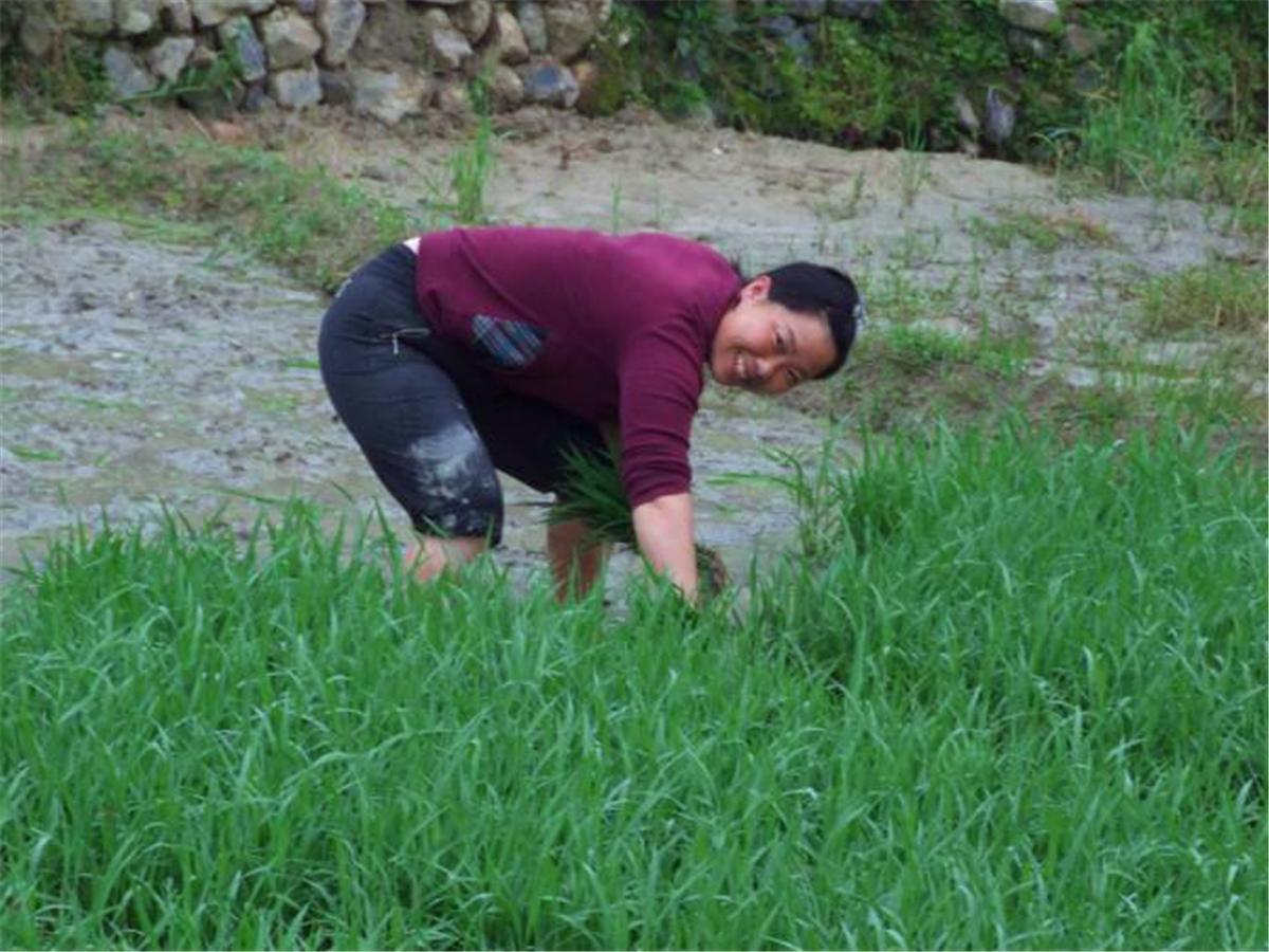 妻离子散是什么意思,妻离子散代表什么意思