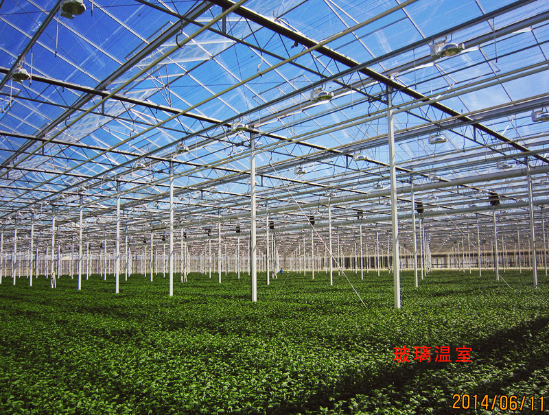 单栋温室大棚建设造价多少钱,连栋温室大棚造价多少钱一平