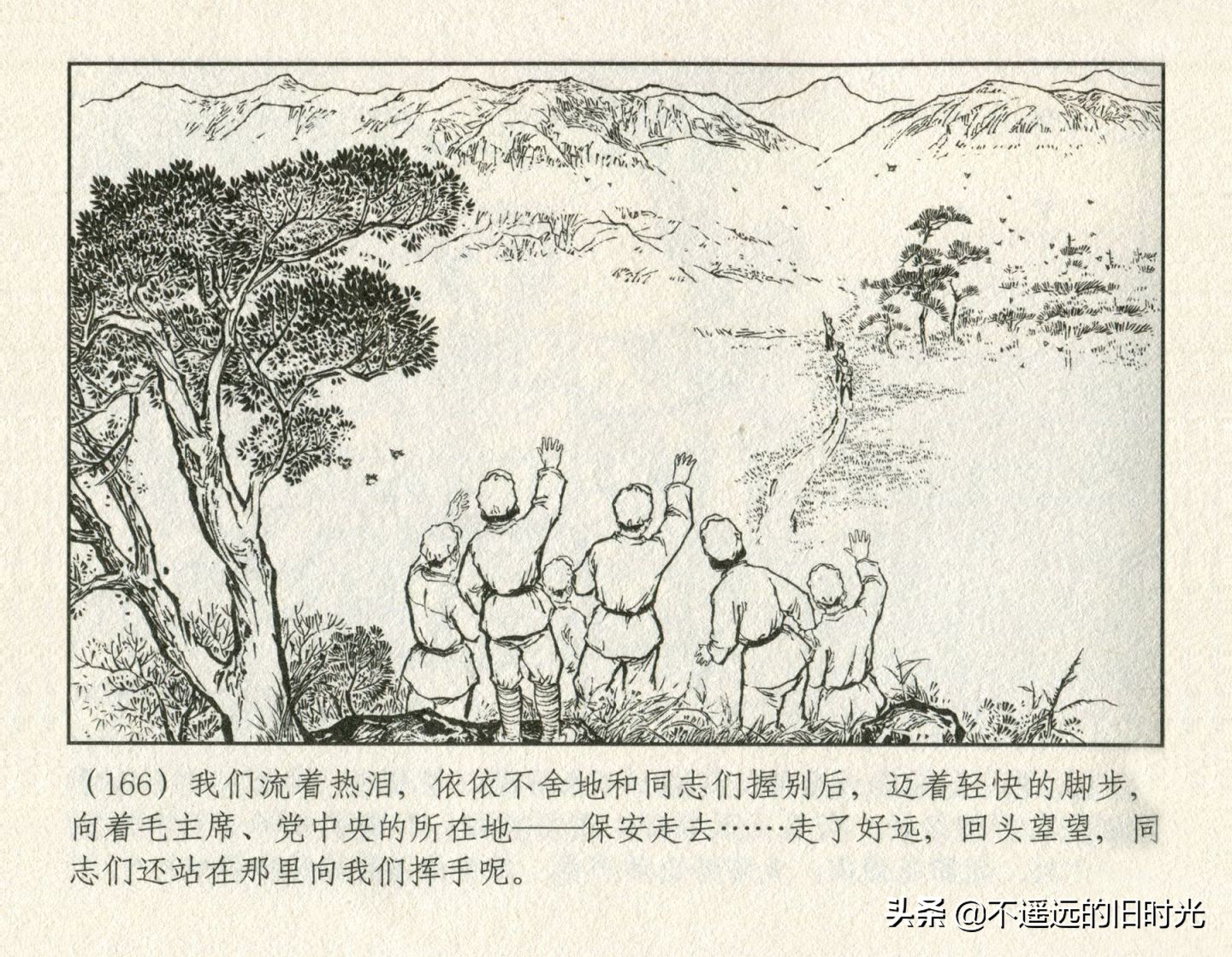 朝阳花-上海人民美术出版社1981初版2016再版陆成法陆小弟绘