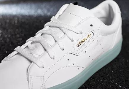 人生处处是陷阱,人生处处是陷阱只有躲起来最安全