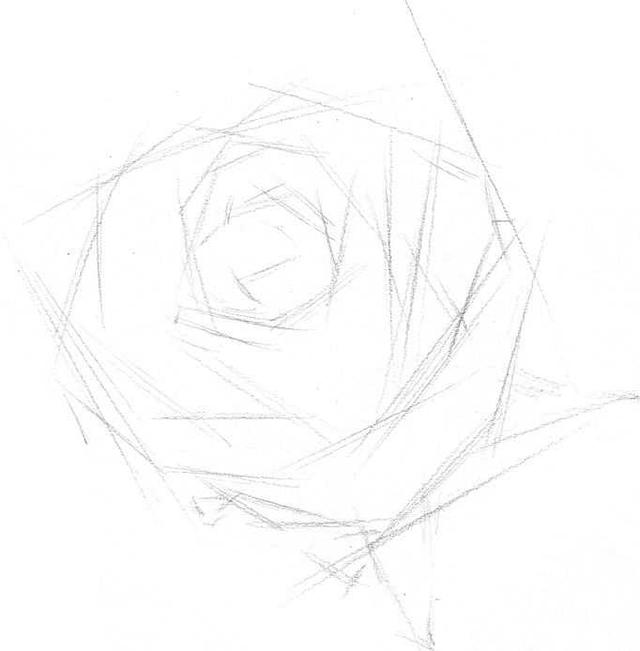 玫瑰素描画法步骤图,玫瑰素描指导视频