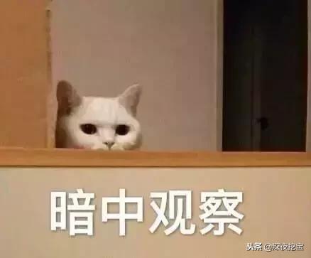 士力架一共有几个颜色,士力架红色为什么便宜