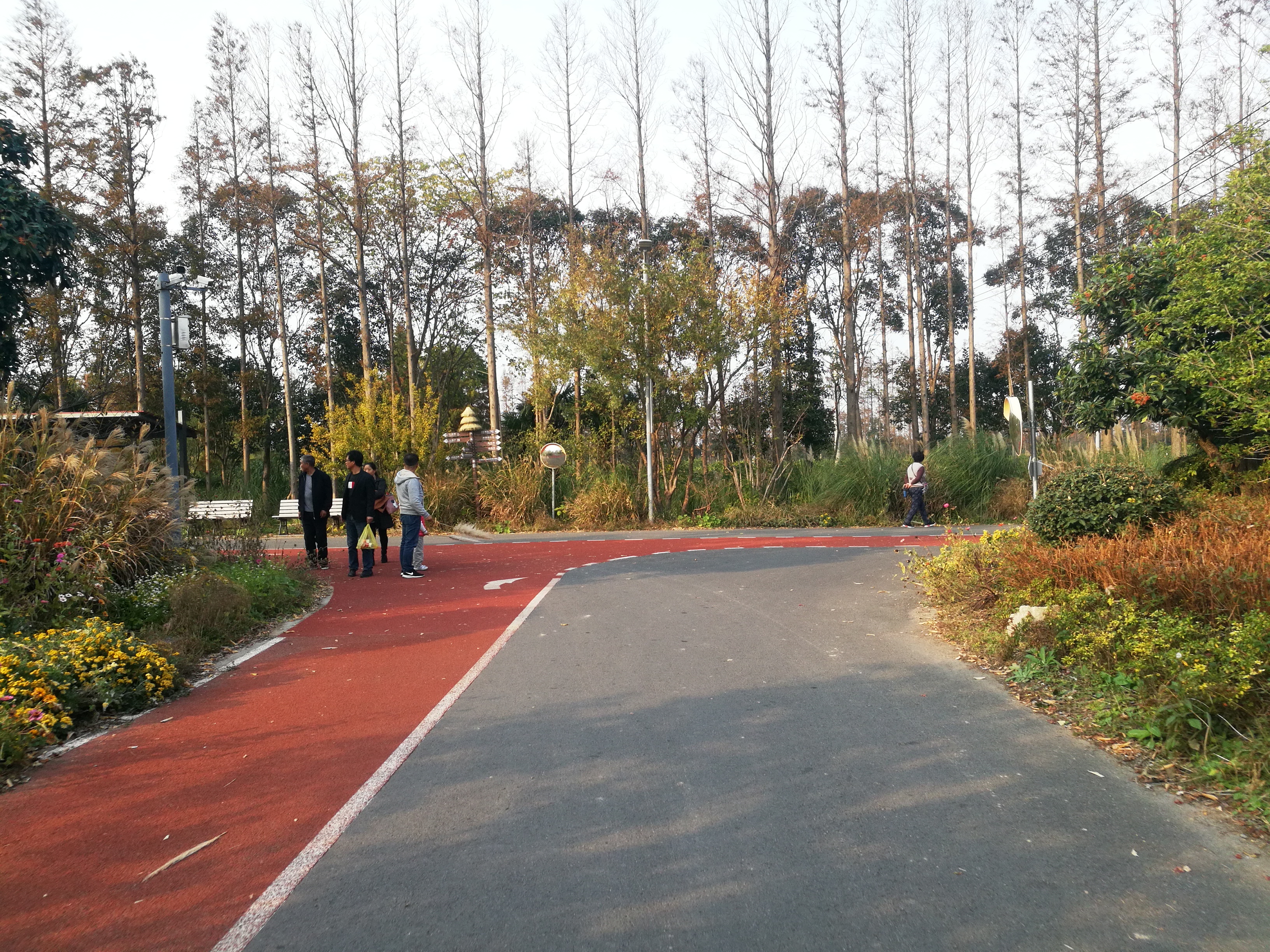 上海崇明岛郊野公园扩建工作,崇明长兴岛公园规划