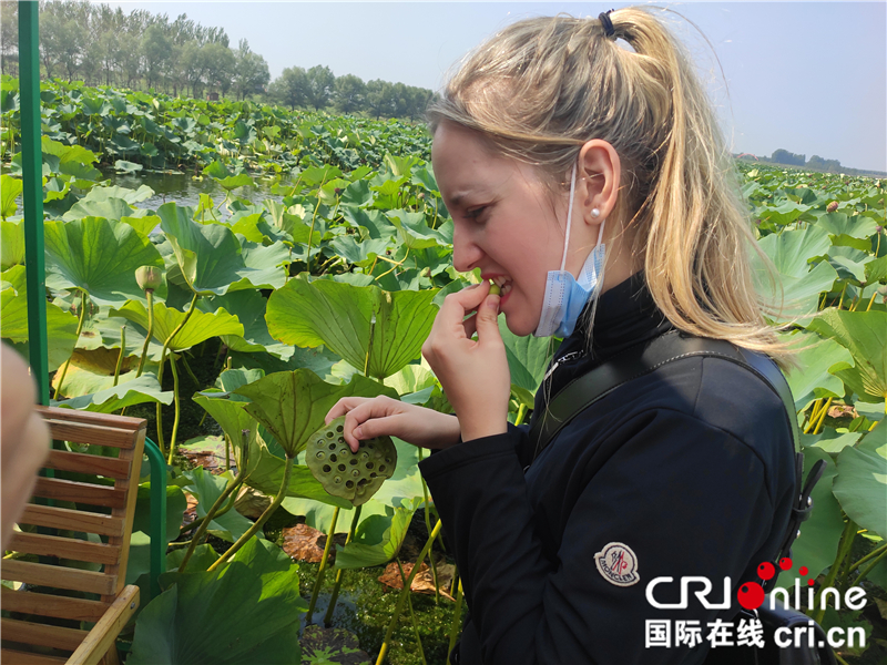 感谢大v的点赞,丝路大v北京行冰雪
