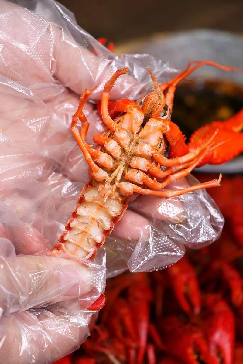 宜春潜江小龙虾,宜春潜江龙虾
