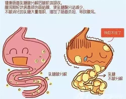 宝宝腹泻大便有大量粘液怎么回事,小儿腹泻大便粘稠怎么办