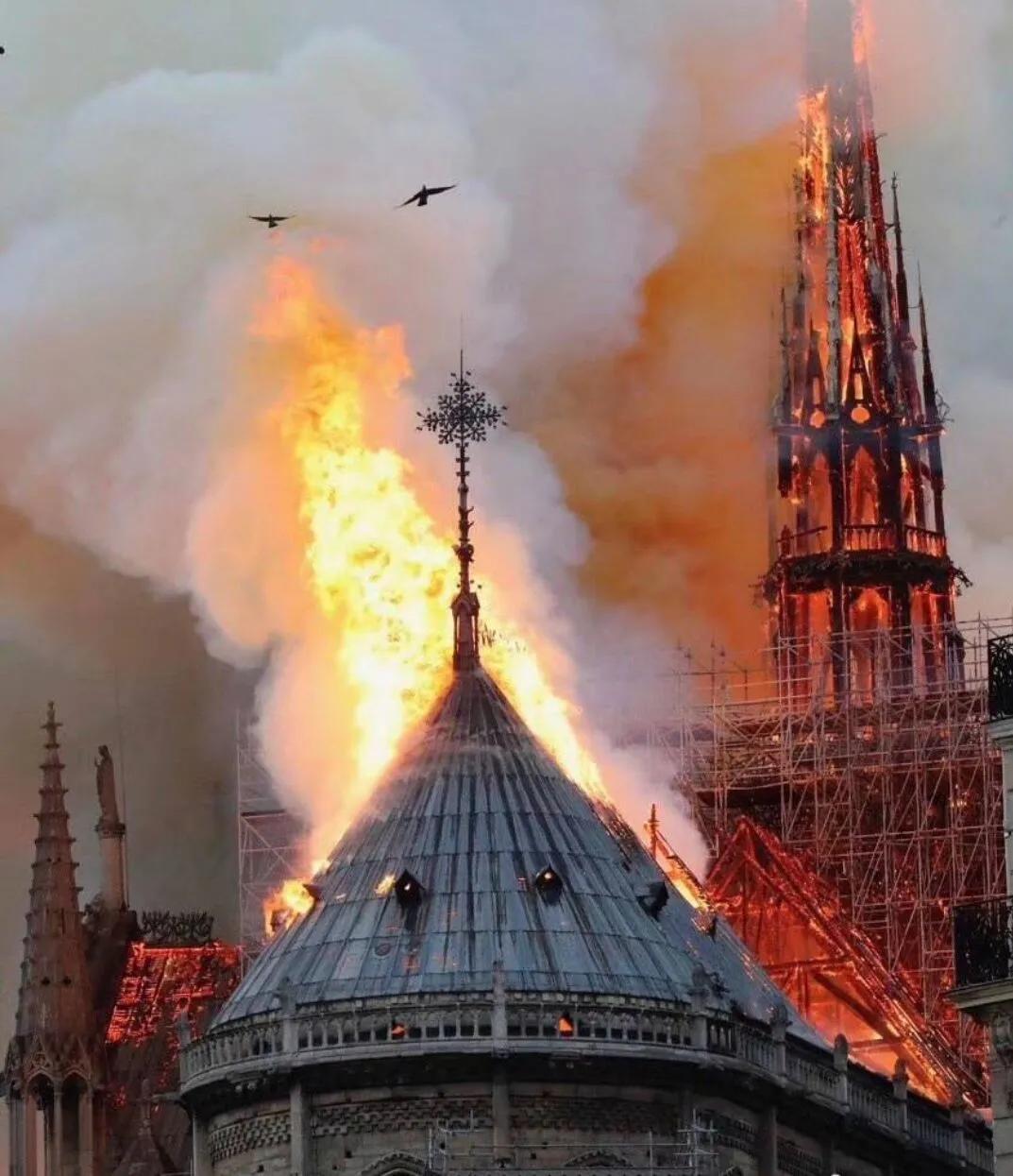 论激素和改善病情药物在风湿病治疗中的作用