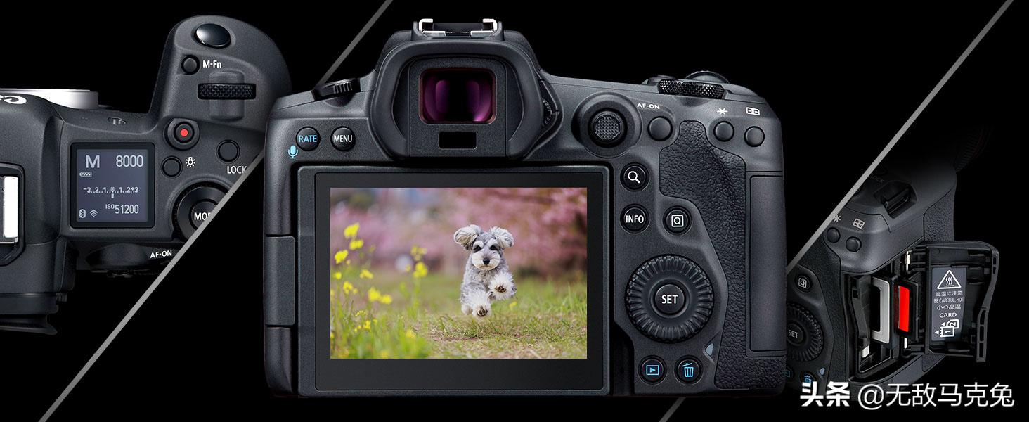 佳能全画幅相机推荐2021,2021佳能专业单反相机系列排名