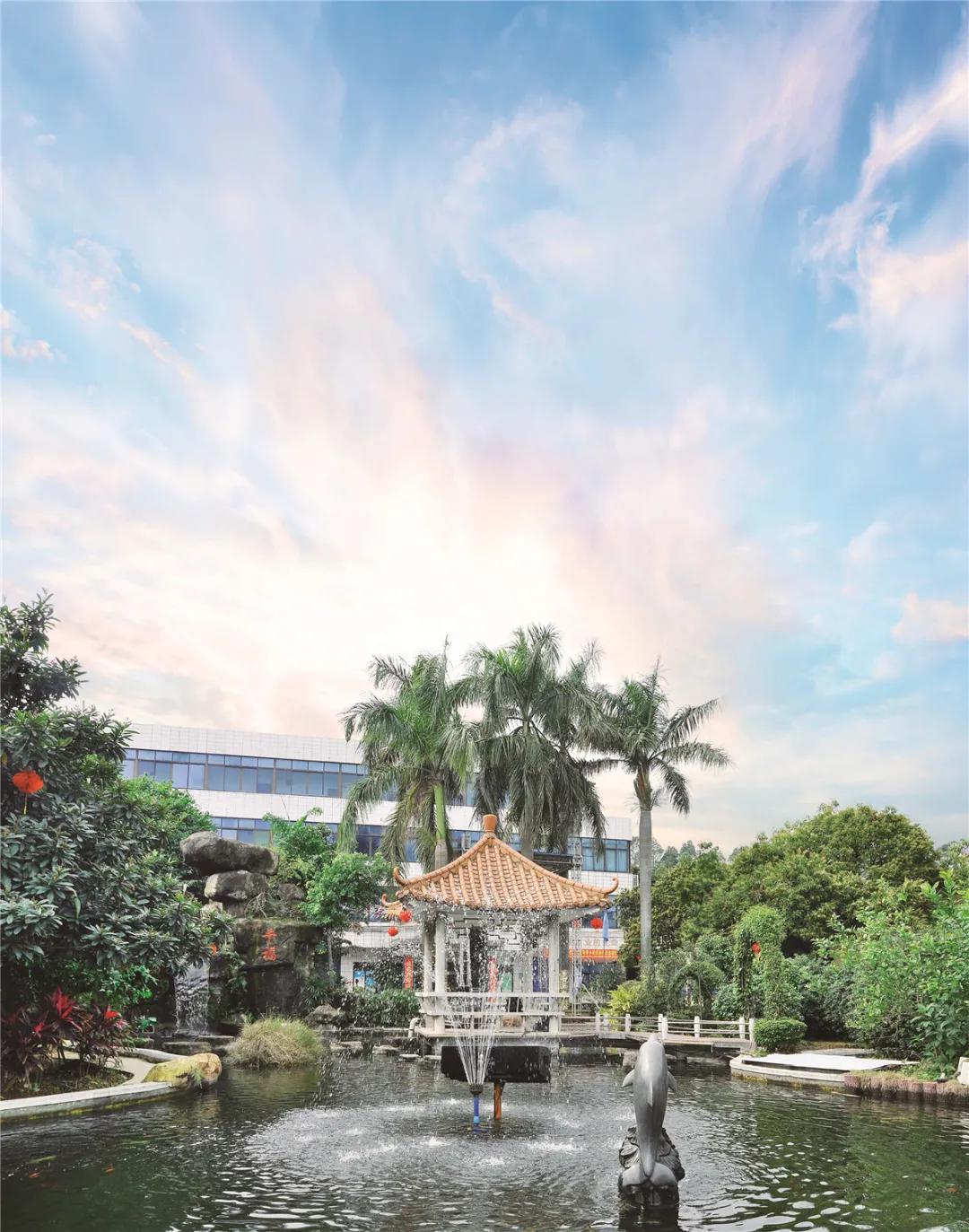 傅志龙的视频,傅志龙介绍